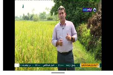 هشدار کارشناسان بهداشت حرفه‌ای درباره استرس حرارتی کشاورزان در برنامه زنده تلویزیونی